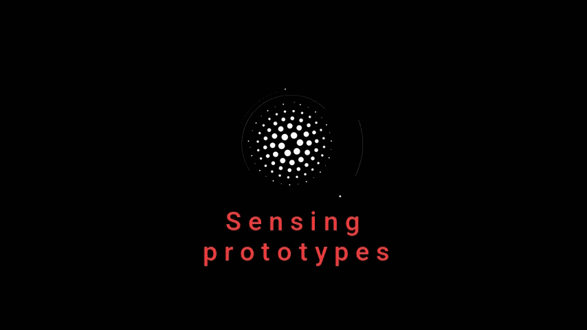 Sensing Prototypes